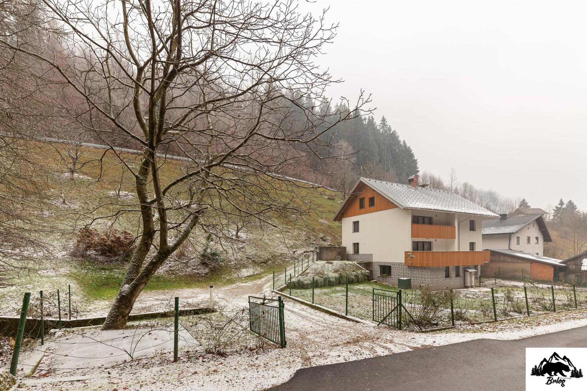 Brlog Apartment Zgornje Gorje ภายนอก รูปภาพ